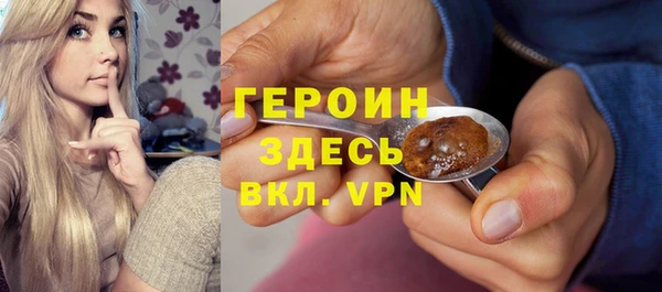 сатива Няндома