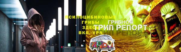 сатива Няндома