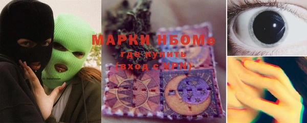 сатива Няндома