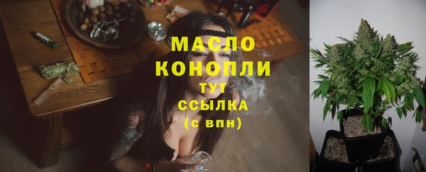 сатива Няндома