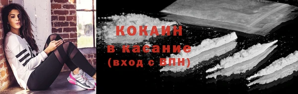 сатива Няндома