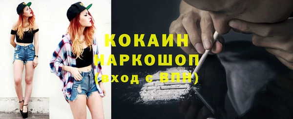 сатива Няндома