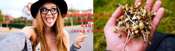 кристаллы Нягань