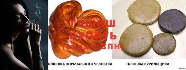 сатива Няндома