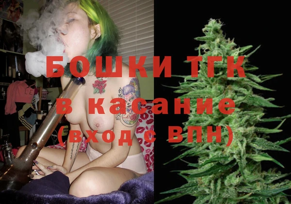 сатива Няндома