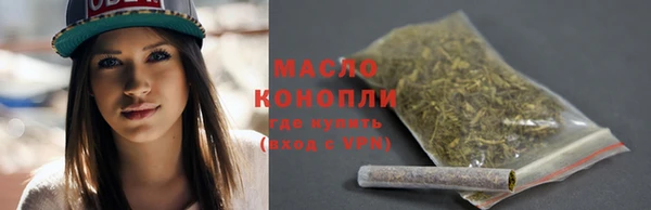 сатива Няндома