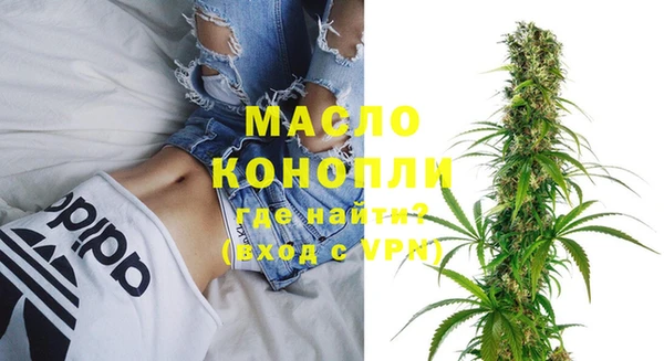 сатива Няндома