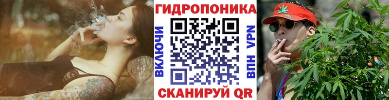 наркота мориарти как зайти Марихуана OG Kush Сурск